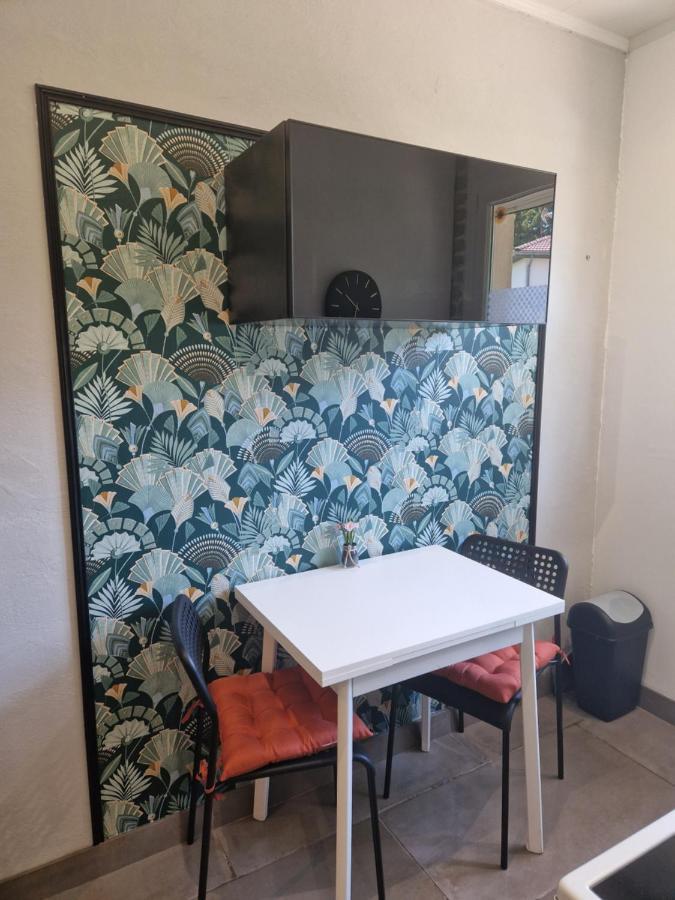 Appartement Independant Dans Maison Avec Jardinet, Au Calme Sérézin-du-Rhône 外观 照片