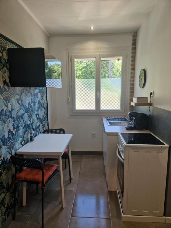 Appartement Independant Dans Maison Avec Jardinet, Au Calme Sérézin-du-Rhône 外观 照片